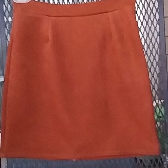 Faux Suede Mini Skirt by Windsor Gold Toned Front Zipper Fall Theme Size Small - Picture 6 of 6